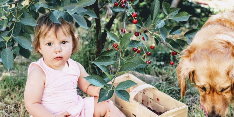 Ernährung für Neugeborene: Stillen, Flaschennahrung und Beikost